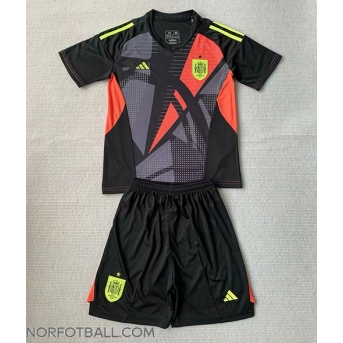 Billige Fotballdrakt Spania Keeper Replika Bortedraktsett Barn EM 2024 Kortermet (med bukser)